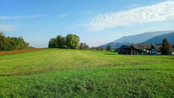 Green fields of Slovenia — Stock Photo, Image