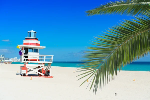 Torre Salva Vidas South Beach Miami Beach Florida — Fotografia de Stock