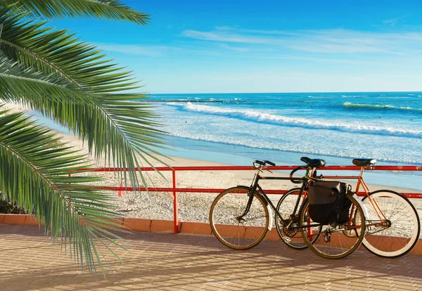 Biciclette Sulla Spiaggia Santa Maria Del Mar Cadice Spagna Andalusia — Foto Stock