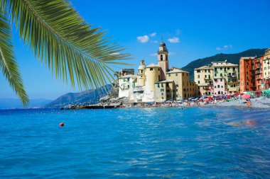                               Ligurya 'nın Camogli köyünün İtalyan Riviera rengarenk plaj manzarası Cenova vilayeti 
