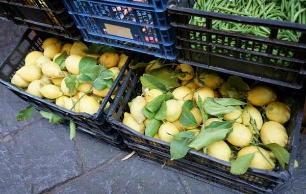 Лимоны Пластиковой Коробке — стоковое фото
