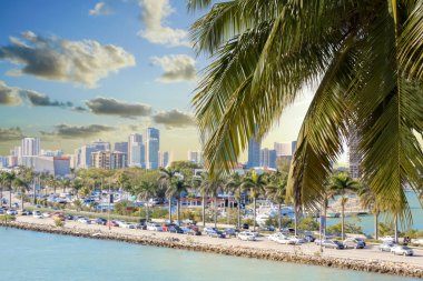 ABD 'nin FI kanalı boyunca Miami karayolunda yoğun trafik var.