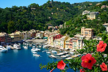                                Güzel Portofino şehri, tipik renkli binaları ve ünlü lüks limanı, Portofino, Liguria, Cinque Terre, İtalya, Avrupa