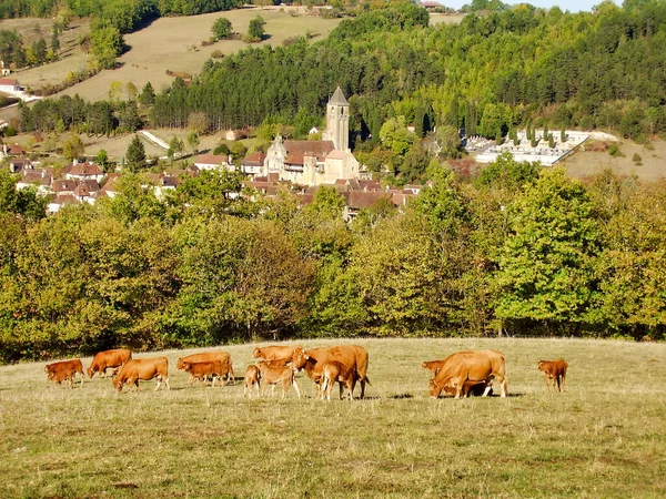 Pueblo Medieval Plazac Dordoña Francia Enclavado Campo —  Fotos de Stock