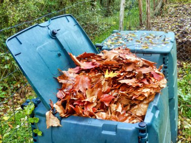 Compost bin full of autumn leaves to provide leaf mulch clipart