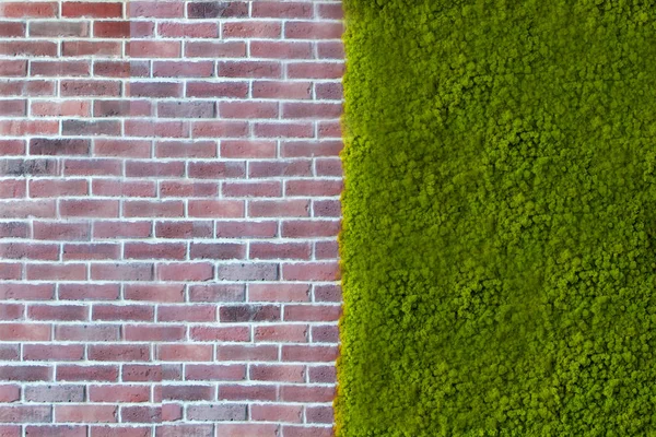 Wall bricks texture with green plants