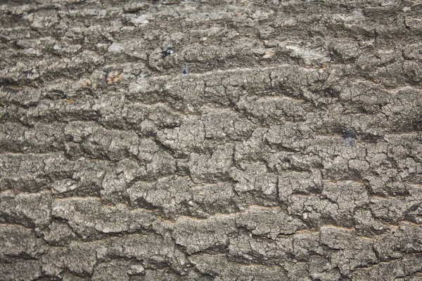 Duvar grisi sert yatay doku.