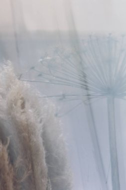 alan çim yansıması