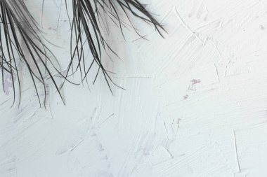 palmiye dalları ile beton duvar