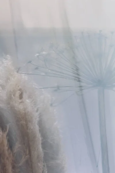 alan çim yansıması