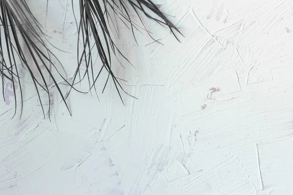 palmiye dalları ile beton duvar