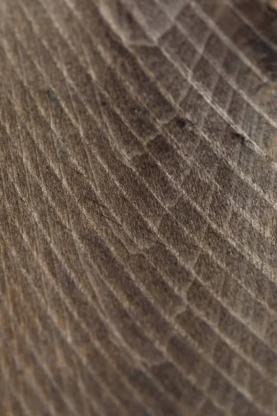 tahta doku makro photoshoot