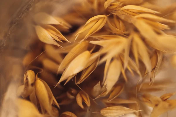 makro yulaf kurutulmuş çiçekler