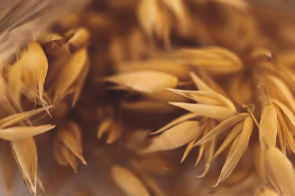 makro yulaf kurutulmuş çiçekler