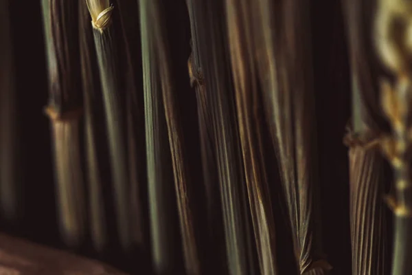 makro buğday sapı kurutulmuş çiçekler