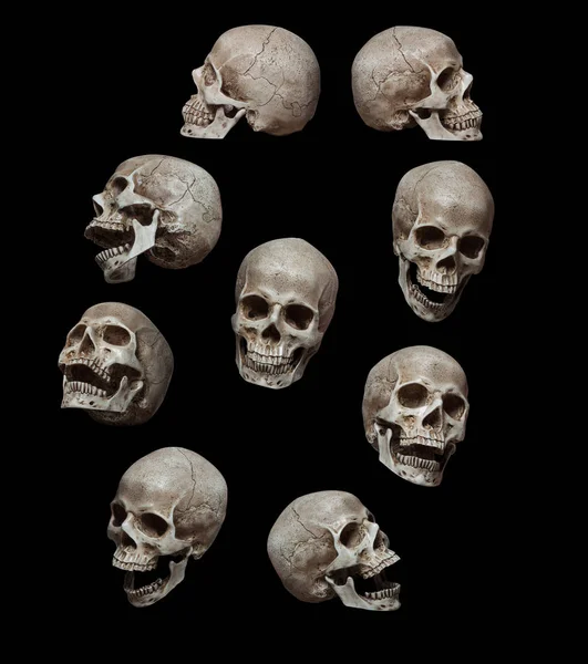Nine Old Human Skulls Isolated Black Background — Stock Photo, Image