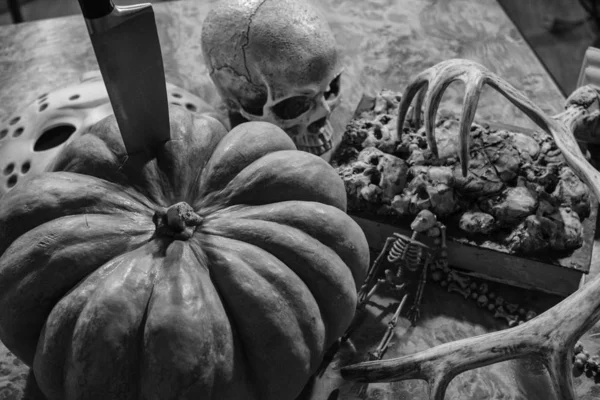 Dynia, czaszka i inne halloween rzeczy — Zdjęcie stockowe