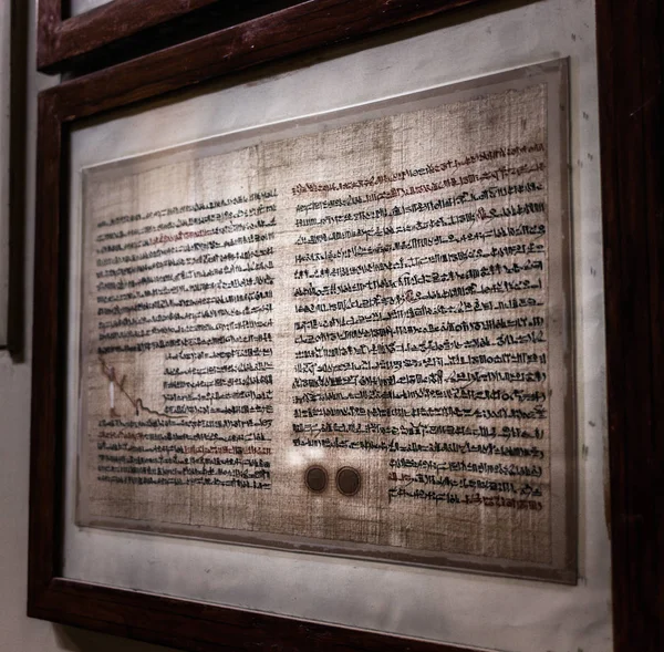 Egyptian papyrus in the egyptian museum