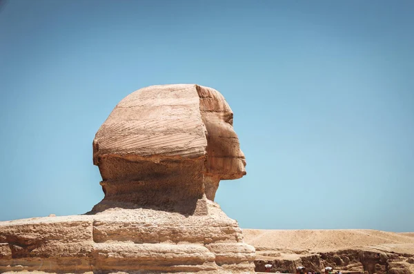 Sphinx Side Giza Cairo Egypt — Stock Photo, Image