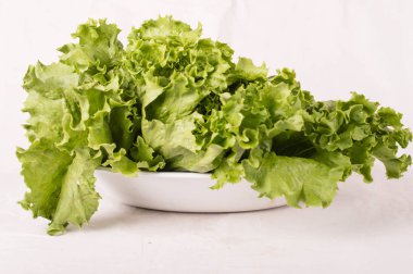 Beyaz arka plan üzerine bir tabak salata.