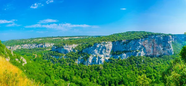 Nature Entourant Château Buoux Franc — Photo