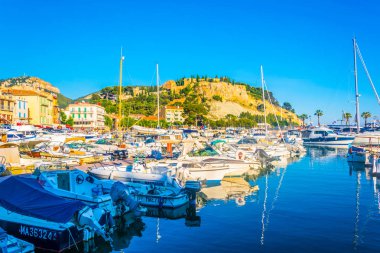 Cassis, Frangı marinada