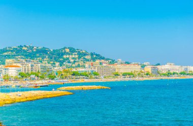 Seaside Cannes, Frangı