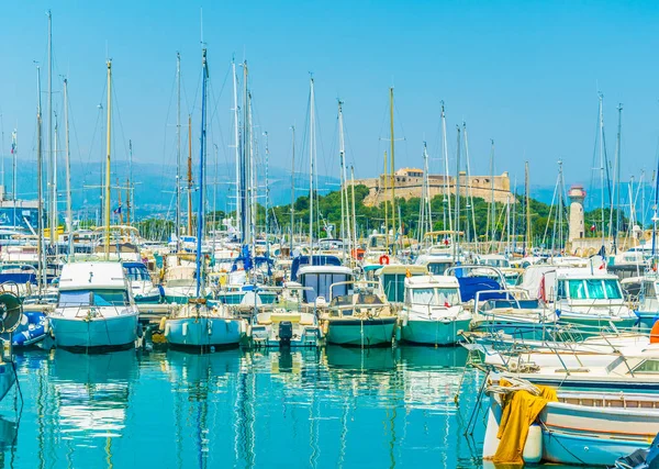 Port Vauban Avec Fort Carre Antibes Franc — Photo