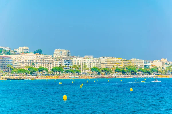 Seaside Cannes, Frangı