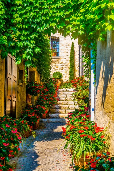 Una Calle Estrecha Casco Antiguo Saint Paul Vence Franc — Foto de Stock