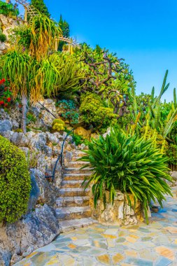 Jardin Exotique garden in Monac