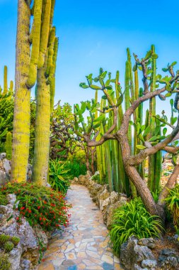 Jardin Exotique garden in Monac