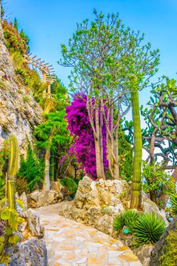 Jardin Exotique garden in Monac