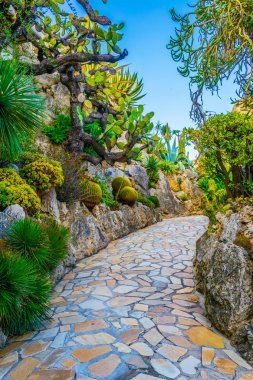 Jardin Exotique garden in Monac