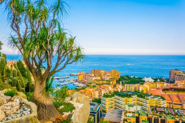 Monaco 'daki Port de Fontvieille Jardin' in egzotik botanik gardından izleniyor