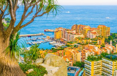 Monaco 'daki Port de Fontvieille Jardin' in egzotik botanik gardından izleniyor