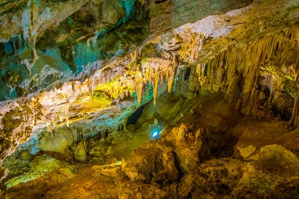 Belső Tér Barlang Belsejében Jardin Exotique Kertek Monac — Stock Fotó