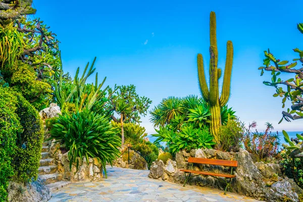 Jardin Exotique garden in Monac