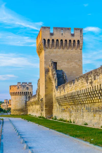 Sur Avignon Frangı — Stok fotoğraf