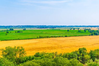 Frangı Arles yakınındaki kırsal