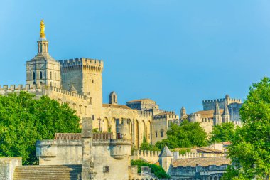 Cityscape Avignon Palais des Papes ve katedral Our Lady, Frangı