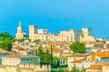 Cityscape Avignon Palais des Papes ve katedral Our Lady, Frangı