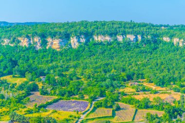 Luberon bölgesinde, Frangı lavanta alan