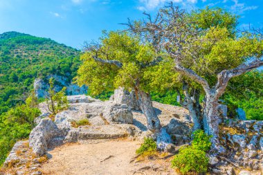 Buoux kale bakan Luberon bölgesel doğal parkında Frangı