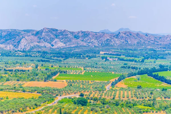 Countryside Massif Des Alpilles Franc — Stock Photo, Image