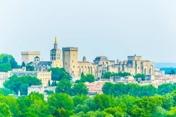 Cityscape Avignon Com Palais Des Papes Catedral Nossa Senhora Franc — Fotografia de Stock