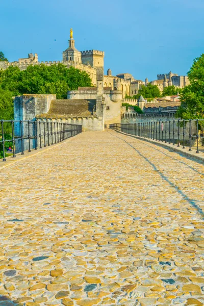 Palais Des Papes Cathédrale Notre Dame Vue Pont Avignon Sur — Photo