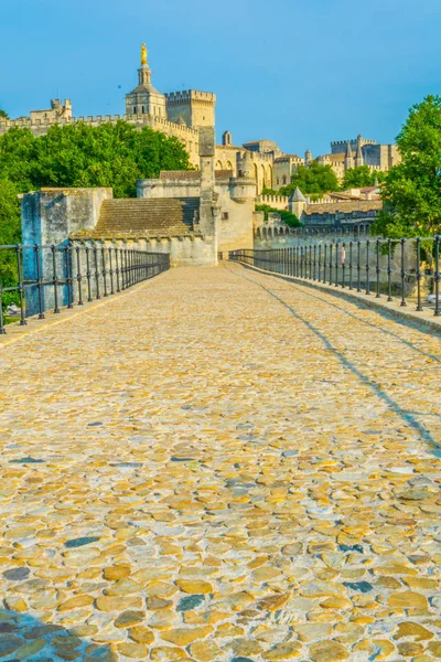 Palacio Los Papas Catedral Nuestra Señora Vista Desde Pont Avignon — Foto de Stock