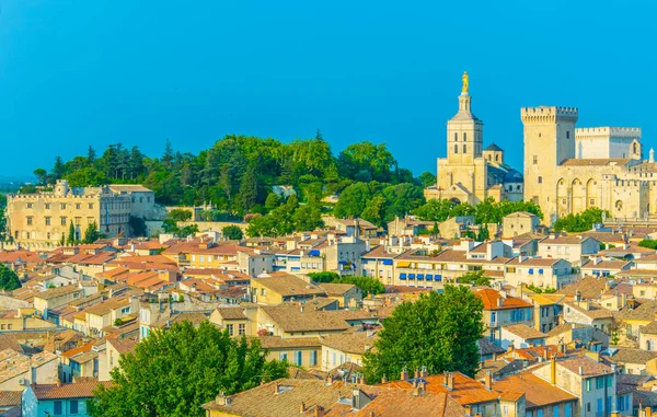 Stadsbilden Avignon Med Palais Des Papes Och Cathedral Our Lady — Stockfoto