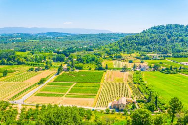 Frangı Menerbes köyü yakınındaki üzüm bağları